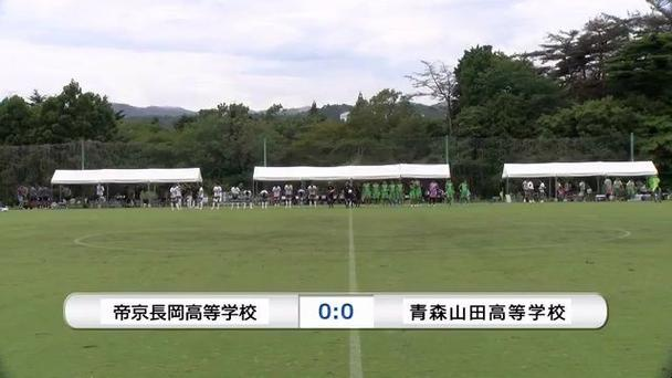 Rookie回归赛场，绝杀首场状态亮眼，塞尔维亚队观众沸腾！的简单介绍